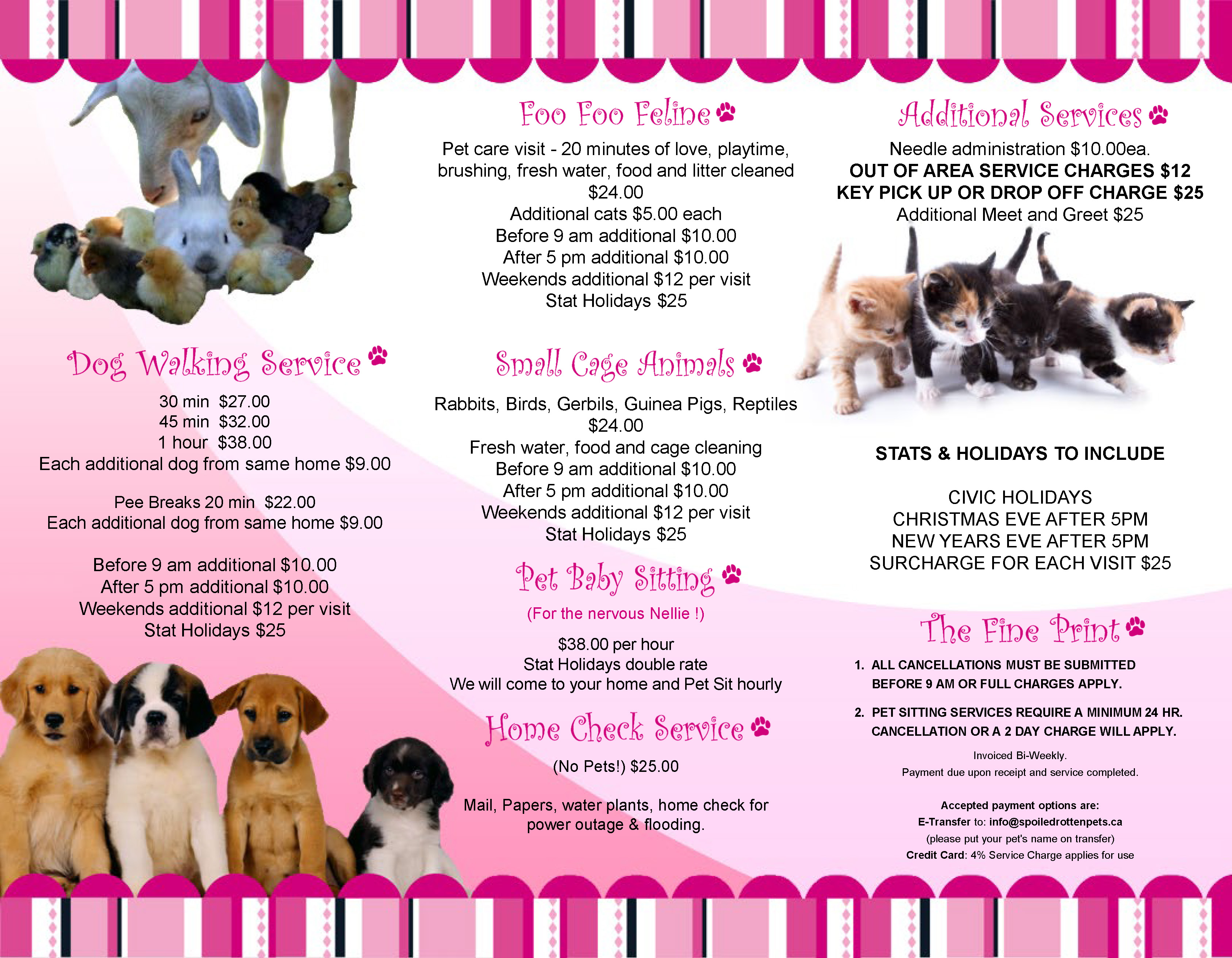 View the 2026 Spoiled Rotten Pet Services pricing brochure